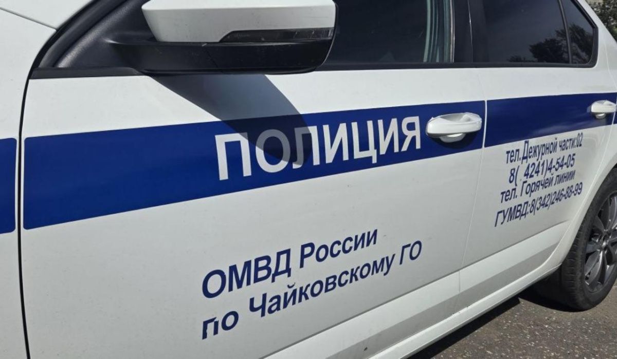 В Чайковском будут судить мужчину за кражу телевизора у собственной матери