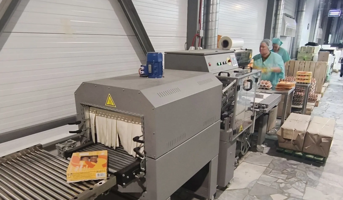 АО "Птицефабрика Чайковская" установило новое оборудование для упаковки яиц