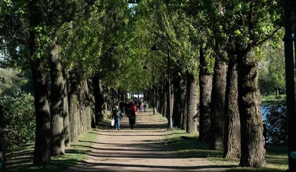 Леус пообещал лето в Петербурге в ближайшие три дня