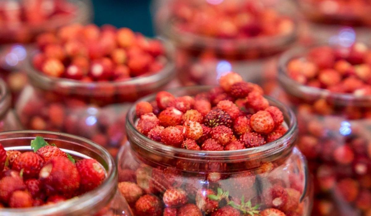 На ярмарках Москвы появились сезонные ягоды: черника, земляника, смородина, крыжовник