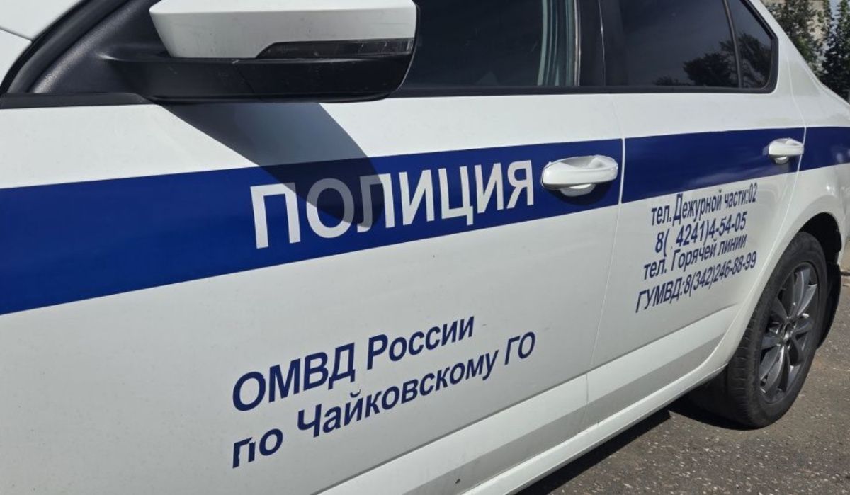 В Чайковском суд рассмотрит дело студента, обвиняемого в совершении преступления