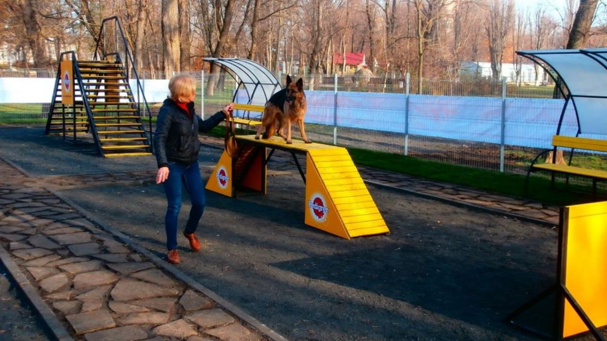 Власть Красноярска ждёт от жителей идей