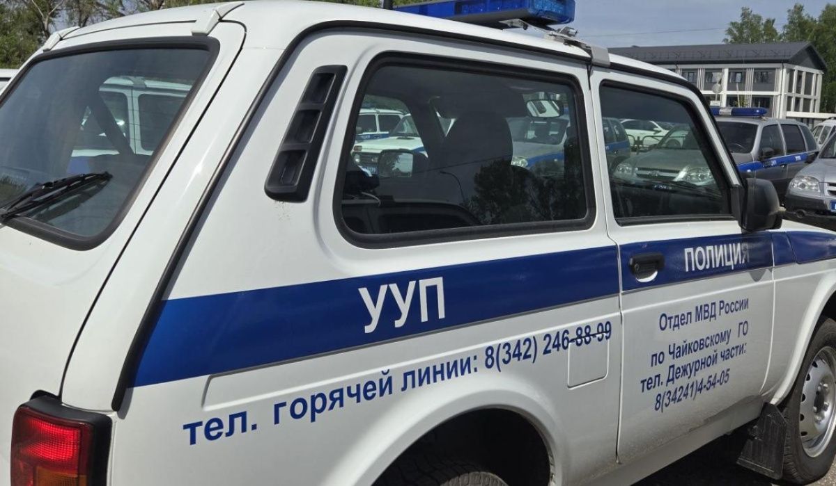 В Чайковском завершили расследование дела о серии краж из магазинов и автомобиля