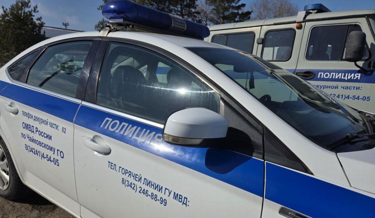 В Чайковском задержана девушка-курьер за кражу сбережений у трёх пенсионеров