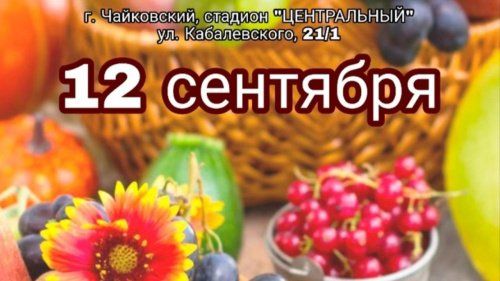 В Чайковском приглашают на осеннюю сельскохозяйственную ярмарку "Осень-2020"