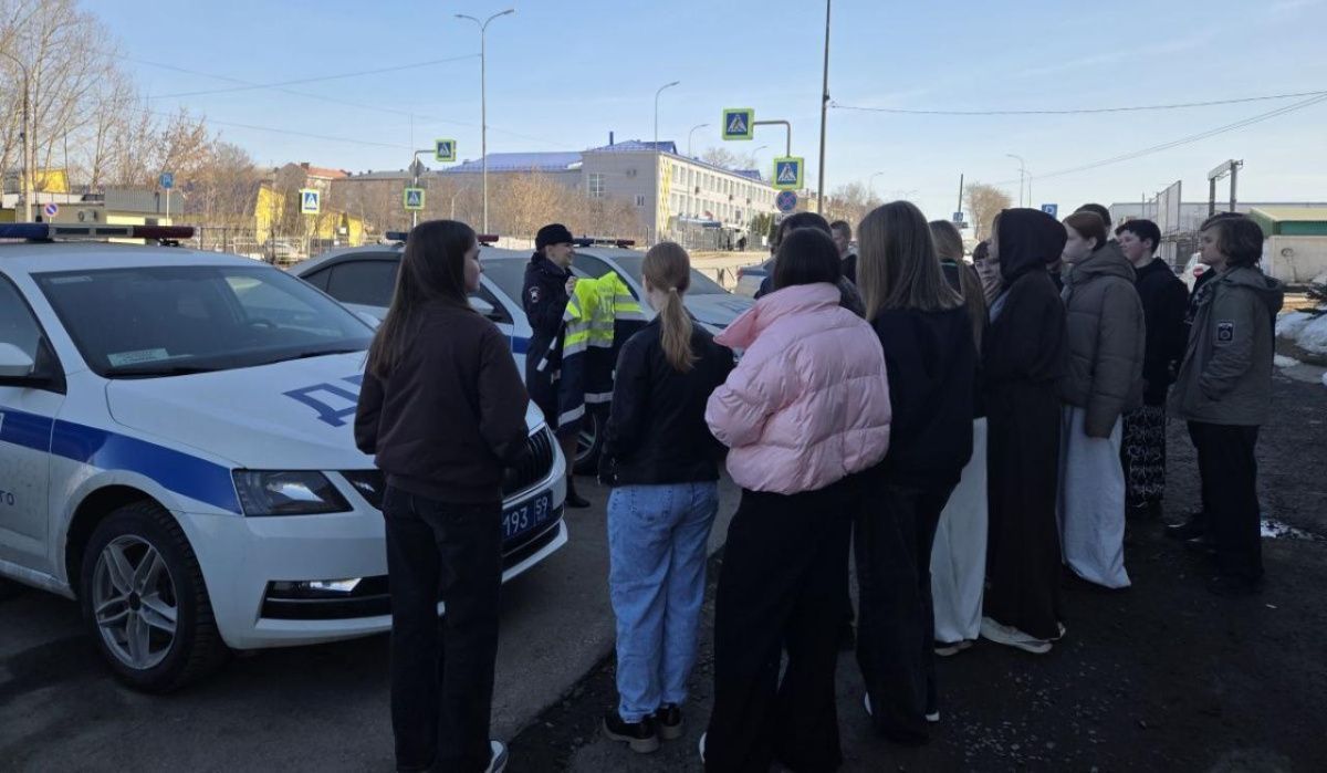 В Чайковском школьников знакомят с работой полиции и общественников