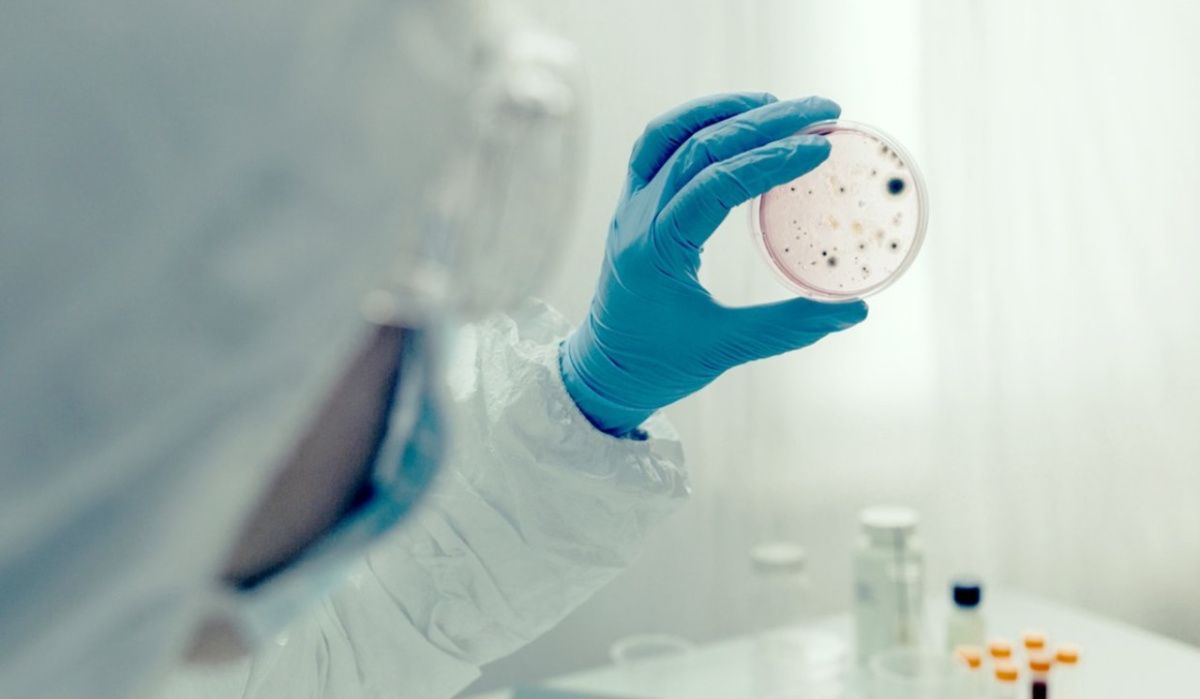 Роспотребнадзор опроверг слухи о распространении холеры в России