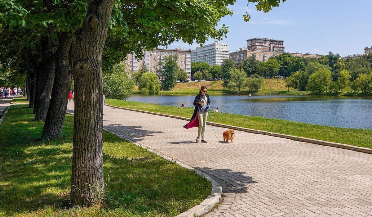 Синоптики озвучили прогноз погоды в Москве на период с 3 по 7 июня