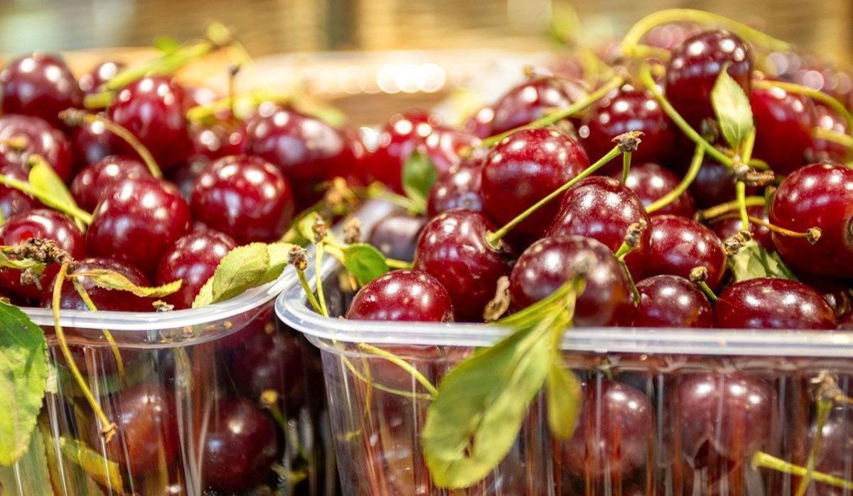 На ярмарках выходного дня появились черешня и вишня из Центральной России
