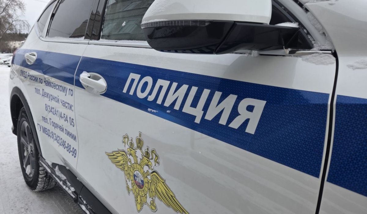 Чайковские полицейские напомнили о профилактике в праздничные дни