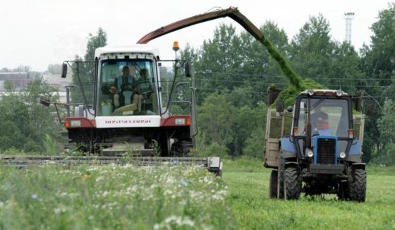 "Птицефабрика Чайковская" завершает уборку витаминно-травяной муки