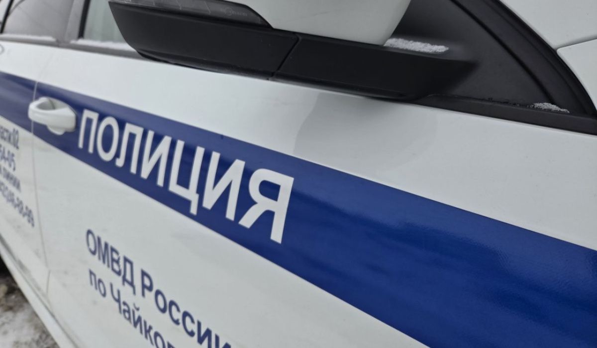 Жителя Чайковского осудили за хищение оставленного без присмотра имущества