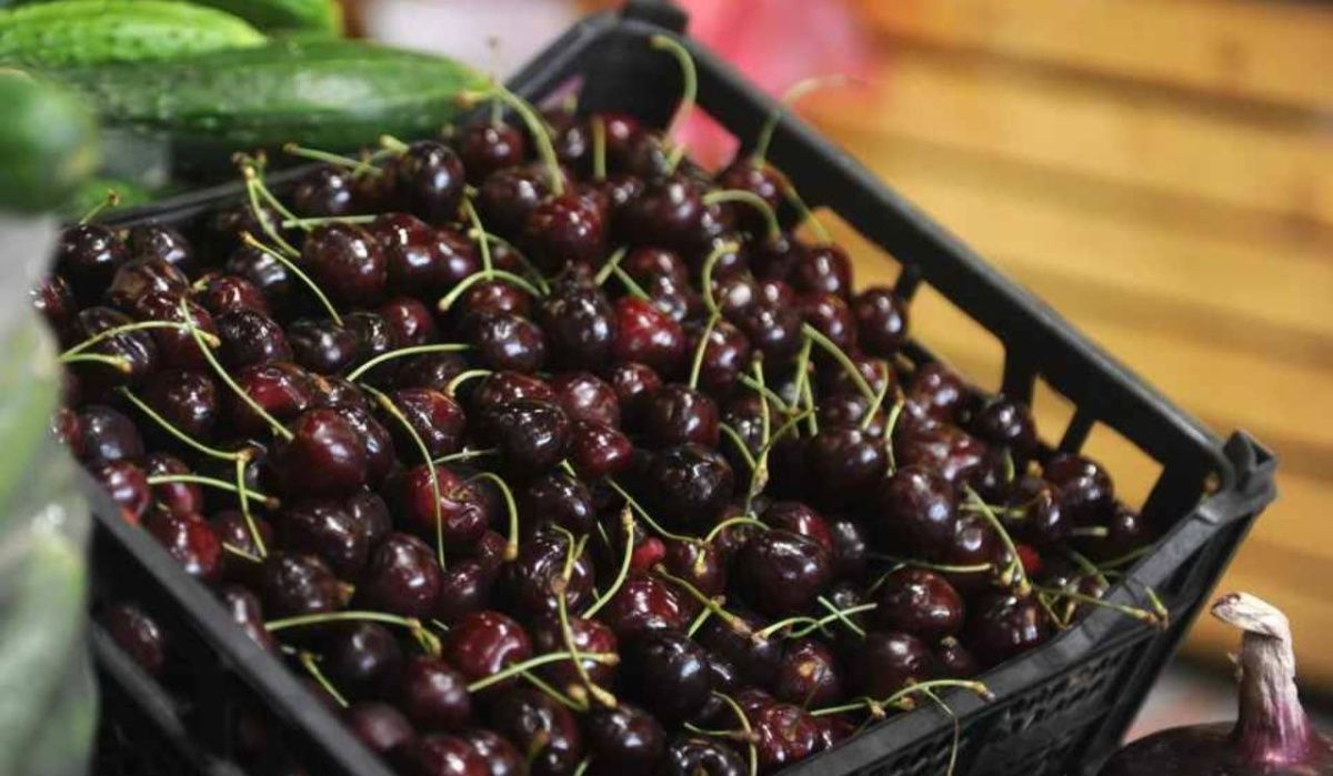 В Роспотребнадзоре Петербурга рассказали, сколько черешни можно съедать в день