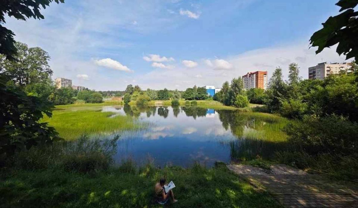 Леус сообщил о погодных условиях в Петербурге на 24 июля