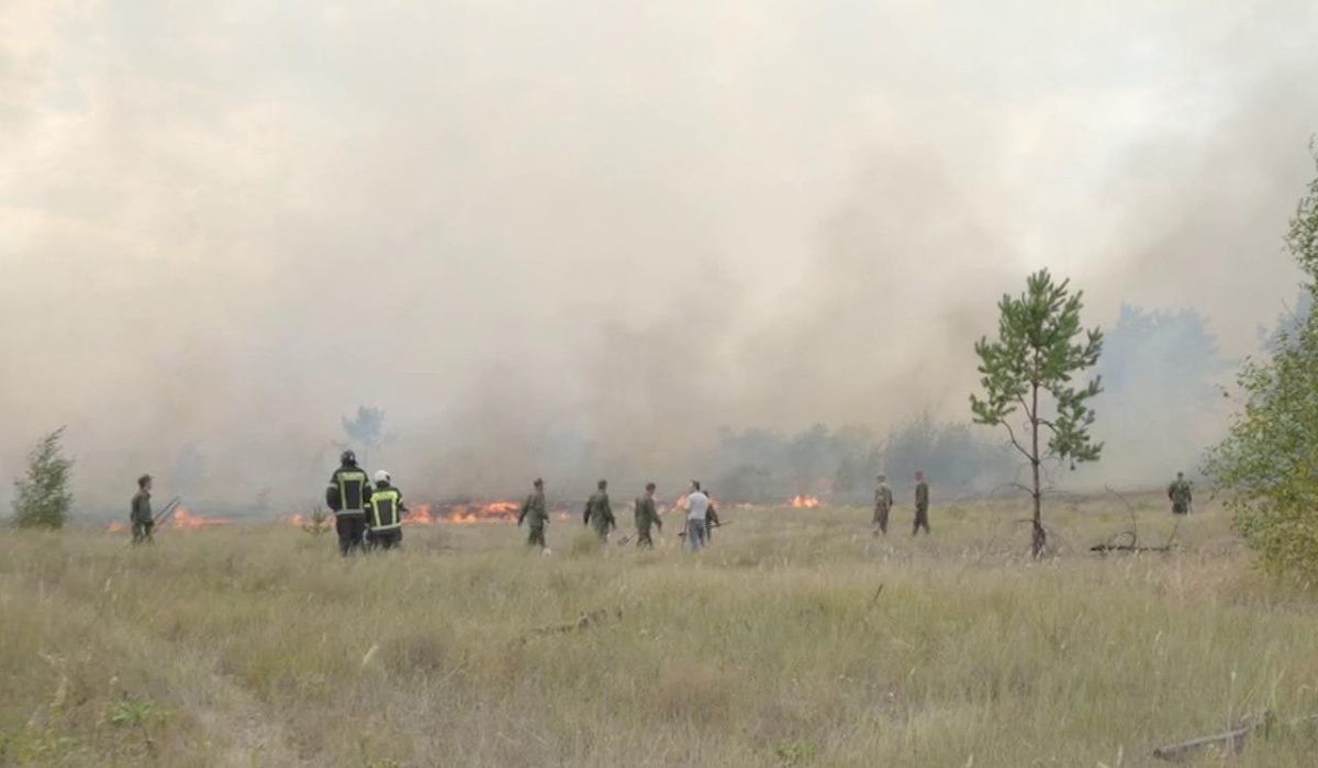 Количество ландшафтных пожаров в Воронежской области сократилось в 5 раз