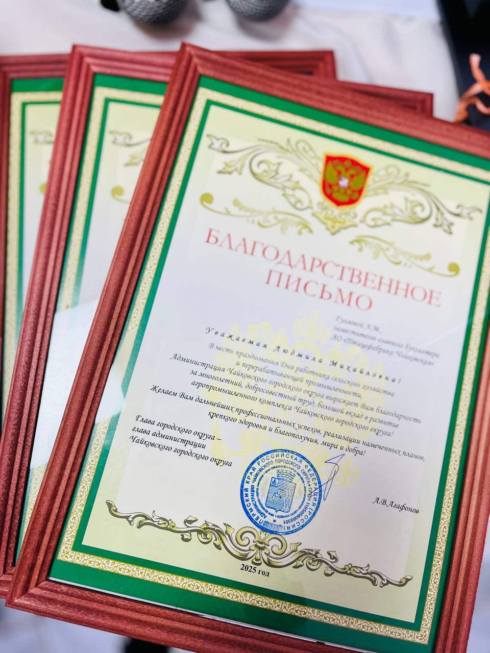 Администрация Чайковского округа вручила награды сотрудникам "Птицефабрики Чайковская" Администрация Чайковского округа вручила награды сотрудникам "Птицефабрики Чайковская"