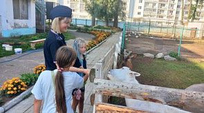 Новости