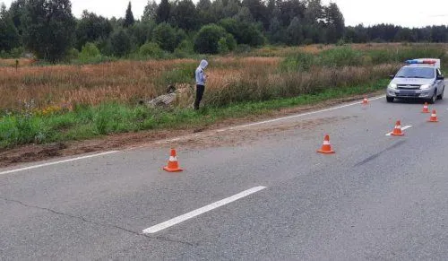 ДТП с пострадавшими произошло на трассе Чайковский-Марково