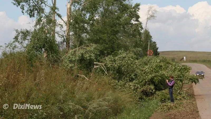 В Чайковском районе ликвидируют последствия урагана