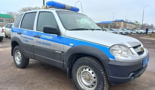 В Чайковском городском округе полицейскими найдены заблудившиеся в лесу дети